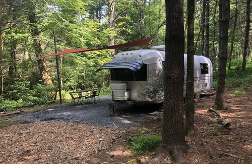 Bamboo House | Peaceful Outdoor Living near the Blue Ridge Parkway and 5 min to Boone!