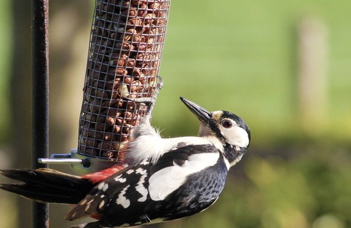 Stittenham Cottage | Peaceful pet friendly hill farm getaway in beautiful countryside near York