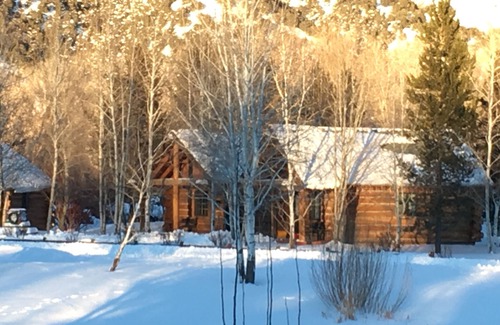 Rigby Cabin | Peaceful & Quiet 2Q Log Cabin w 3/4 Bath and Kitchenette