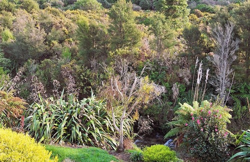 Waikawa House | Peaceful quiet environment; 6 minutes to Picton; close to marinas; pet friendly.