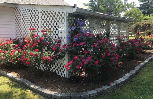 Urbanna House | Peaceful-Relaxing-Charming 1914 home-quaint town- fish-boat-bike-New listing