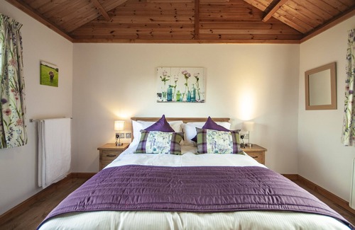 Elgin Cabin | Peaceful, relaxing lodge for 2 set in countryside