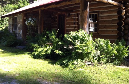 Clarendon Cabin | Peaceful Retreat surrounded by things to explore