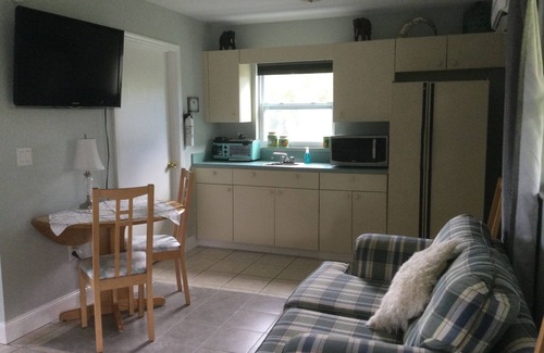 Driftwood Isles Apartment | Peaceful retreat with stunning river views to the Gulf, plenty of wildlife
