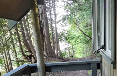 Whaletown Cabin | Peaceful rustic waterfront cabin