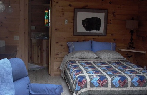 Cook Cabin | Peaceful Setting, Perfect For Your Vacation Get-away. Sauna. Pet-friendly.