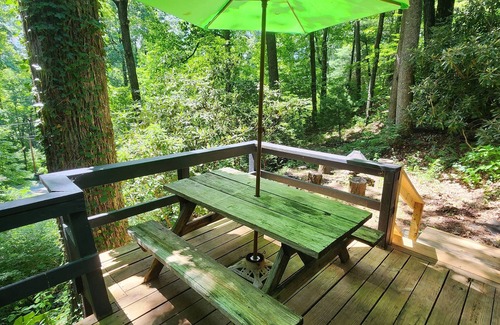 Lake Toxaway Cabin | Peaceful studio with WiFi in Lake Toxaway,North Carolina hot tub.