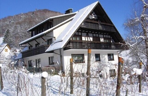 Bad Peterstal-Griesbach Apartment | Peacefully located comfortably furnished vacation apartment near the city center