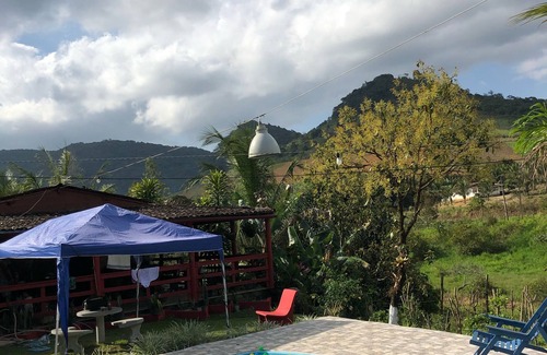 Bonito House | PEACOCK PARADISE GREEN IN BEAUTIFUL-PE