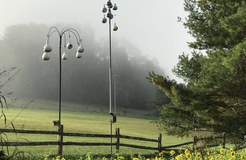 Unicoi Cabin | Peacocks, blacksmithing, buffalo, wildlife, a studio cabin by the pond.