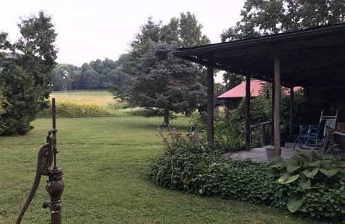 Unicoi Cabin | Peacocks, blacksmithing, buffalo, wildlife, a studio cabin by the pond.