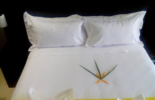 Palapye Bed & Breakfast | Peaconwood Boutique B&B