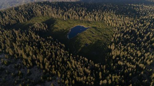 Limbus House | Peak & Pause