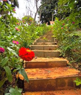 Doi Lo Bed & Breakfast | PeaMoo Homestay
