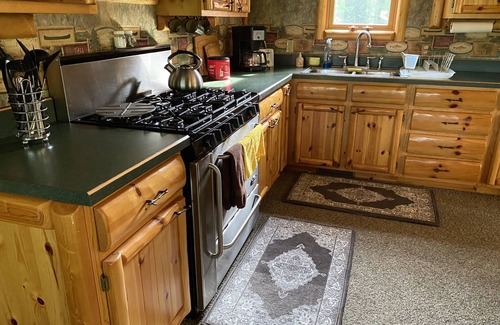 McMillan Cabin | Peanut Gallery where memories are made. Now with high-speed internet!