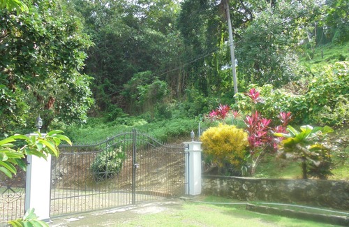 Saint Margarets Bay Villa | Pearl Ocean Villa