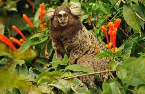 Cabo Frio Villa | Pedacinho do céu