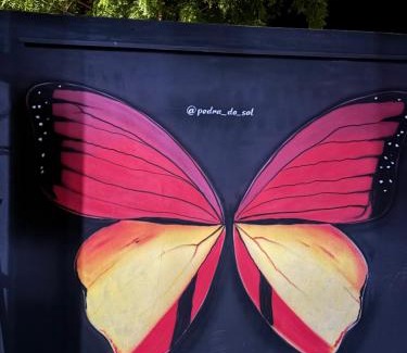 Alter do Chao Hotel | Pedra do Sol Pousada