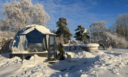 Soolu Hotel | Peetri talu klaaskuplid Haapsalu lähedal