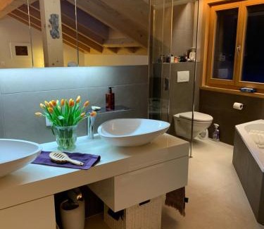 Zweisimmen Apartment | Pegasus