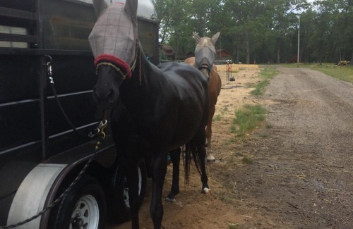 National City RV Rental | Pegasus Springs Horse Trailer Hookups