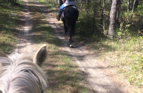 National City RV Rental | Pegasus Springs Horse Trailer Hookups