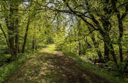 Llanfyrnach Other | Pembrokeshire Yurts - Badger