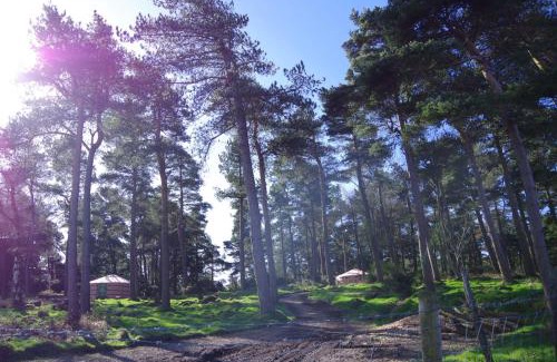 Llandyrnog Other | Penbedw Uchaf Estate - Rural retreats, tennis