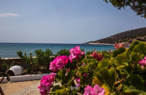 Platis Gialos Apartment | Pension Ageliki