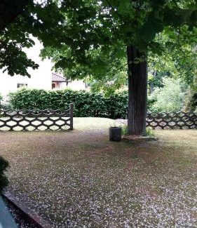 Grillenburg House | Pension am Tharandter Wald