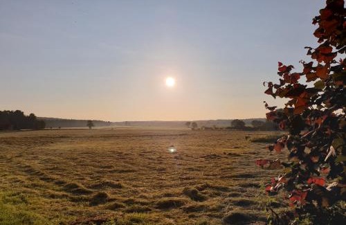 Dohle House | Pension Auetal