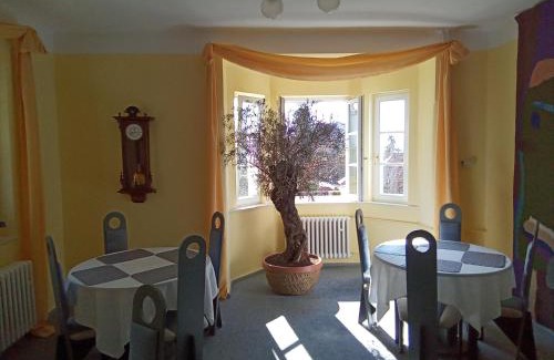 Karlovy Vary House | Pension Baron Schoeneck