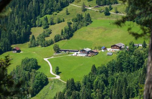 Pichl-Preunegg House | Pension Bergbauernhof Irxner