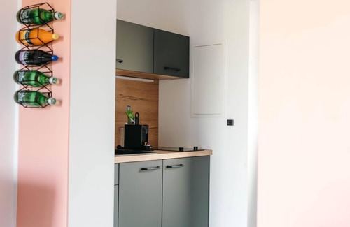 Burgau Apartment | Pension Blumenwiese - Apartment, kitchen, shower/WC, terrace, garden view