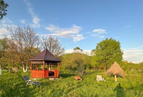 Oncesti Bed & Breakfast | Pension Bud
