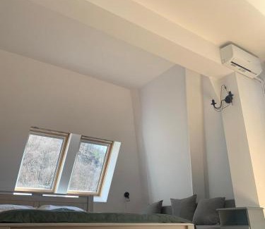 Baile Olanesti House | Pension Casa Vanatorilor