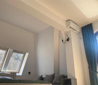 Baile Olanesti House | Pension Casa Vanatorilor