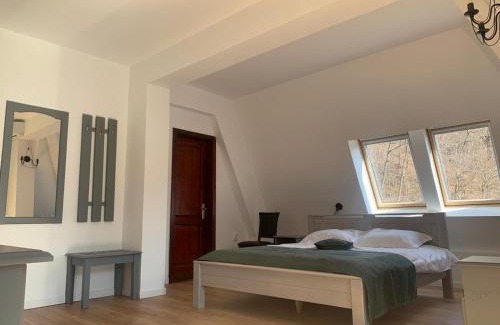 Baile Olanesti House | Pension Casa Vanatorilor