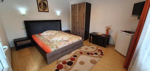 Baile Herculane House | Pension Charisma