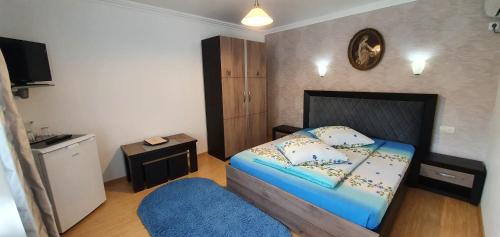 Baile Herculane House | Pension Charisma