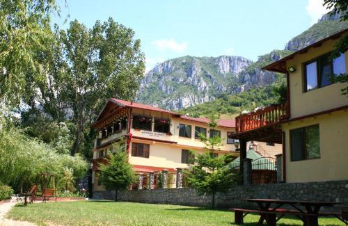Baile Herculane House | Pension Cuibul Viselor