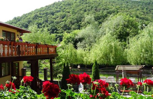 Baile Herculane House | Pension Cuibul Viselor
