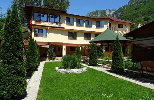 Baile Herculane House | Pension Cuibul Viselor