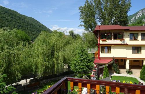 Baile Herculane House | Pension Cuibul Viselor