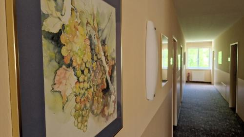 Zellerndorf Bed & Breakfast | Pension Familie Dunkl