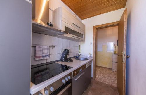Tannesberg Apartment | Pension Ferienwohnungen Frey