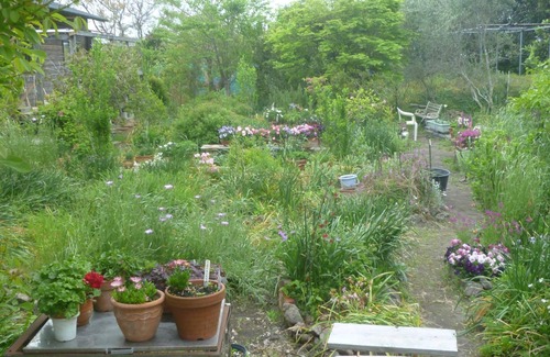 Tateyama House | Pension Flora