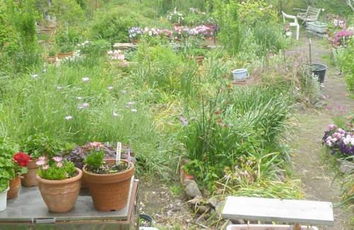 Tateyama House | Pension Flora