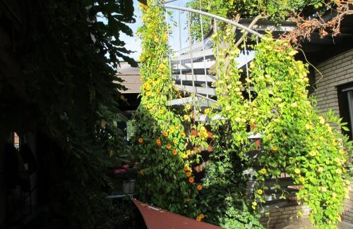 Milte House | Pension Geva