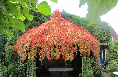 Milte House | Pension Geva